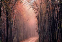 天涯社区情感天地里的精品故事，聊聊那些让你心跳加速的活着感觉！