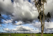 天涯社区情感天地里的精品故事，聊聊那些让你心跳加速的活着感觉！