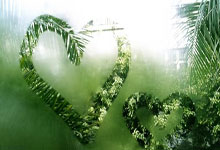 天涯社区情感交友：在线寻情记