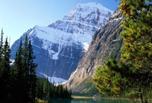 天涯社区情感天地里的精品故事，聊聊那些让你心跳加速的活着感觉！