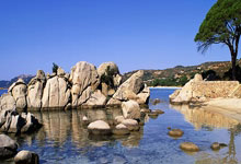 天涯社区情感天地里的精品故事，聊聊那些让你心跳加速的活着感觉！